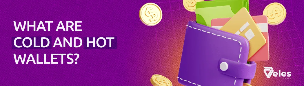 What are cold and hot wallets?