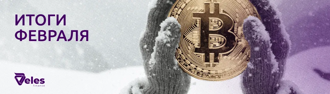 Февраль 2026 | Итоги месяца с Veles