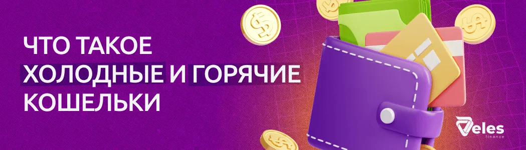 В чем разница между холодным и горячим кошельком в крипте