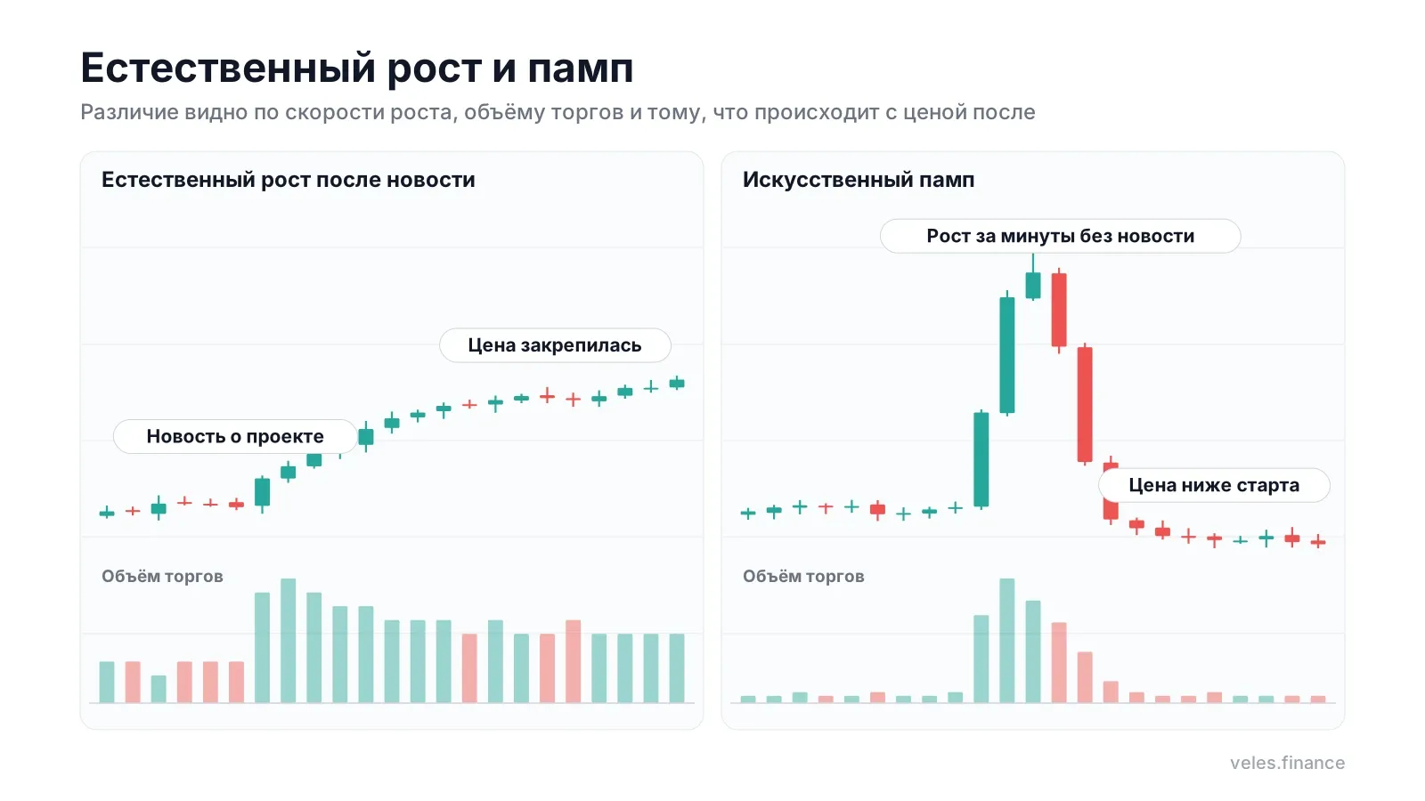 Естественный рост и памп на графике: скорость, объём и что происходит с ценой после