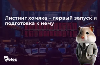 Листинг Хомяка (Hamster Kombat) - первый запуск и подготовка к нему