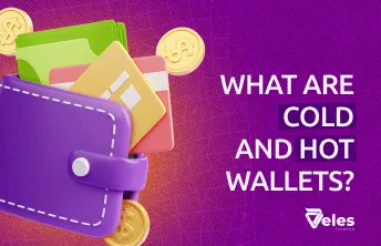 What are cold and hot wallets?