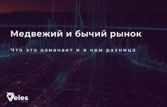 Медвежий и бычий рынок - понятно о важном