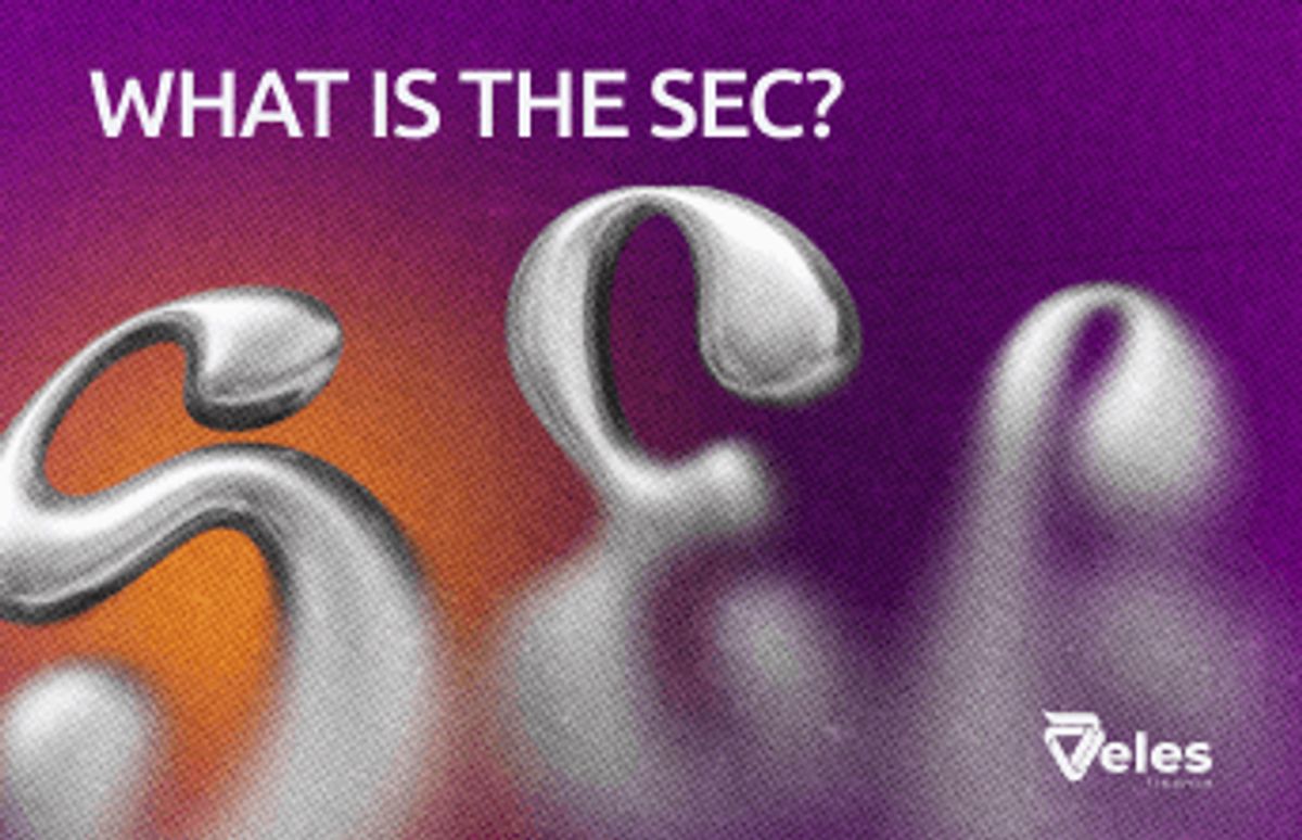 How To Sec What is the SEC in simple terms