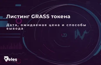 Листинг GRASS: Основная информация