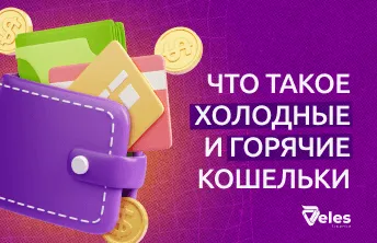 В чем разница между холодным и горячим кошельком в крипте