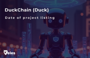 DuckChain Listing - When Will It Happen and How to Prepare for It