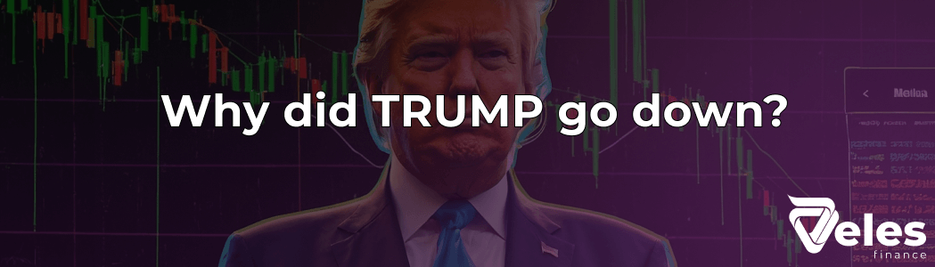 Dynamics of the $TRUMP memecoin - the rapid rise and fall of the Trump coin