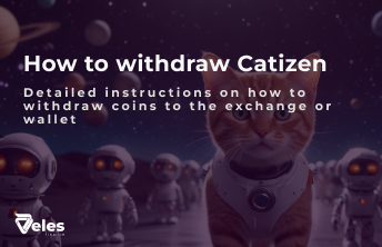 Catizen (CATI) - how to withdraw tokens to an exchange or wallet