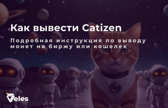 Catizen (CATI) - как вывести токены на биржу или кошелек