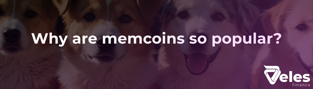 Memcoins - what influences their rate, risks and why they are so popular