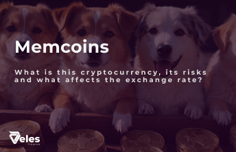 Memcoins - what influences their rate, risks and why they are so popular