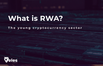 What is the RWA sector?