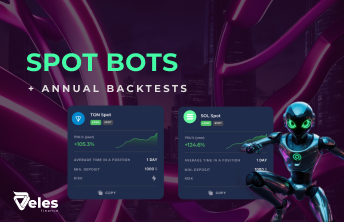 A selection of Veles Spot Bots