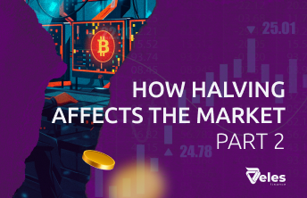 How halving affects the price