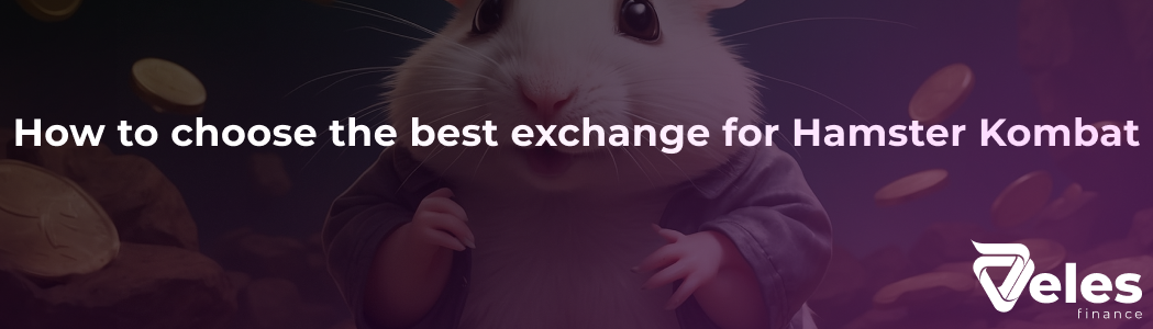 How to Choose the Best Exchange for Hamster Kombat