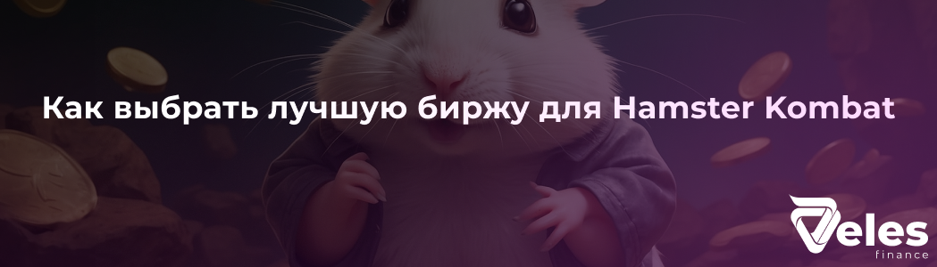 Как выбрать лучшую биржу для Hamster Kombat