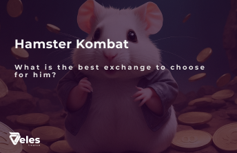 How to Choose the Best Exchange for Hamster Kombat