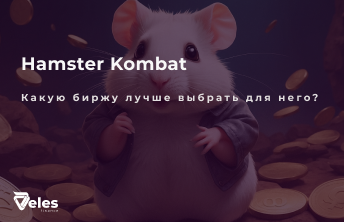 Как выбрать лучшую биржу для Hamster Kombat