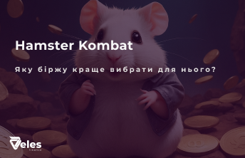 Як вибрати найкращу біржу для Hamster Kombat