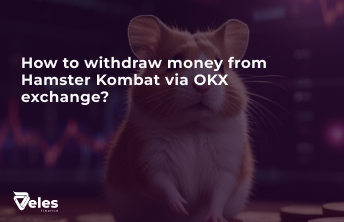 How to withdraw money from Hamster via OKX exchange