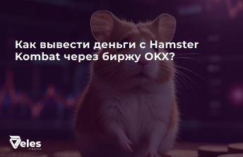 Как вывести деньги с Хамстер через биржу OKX