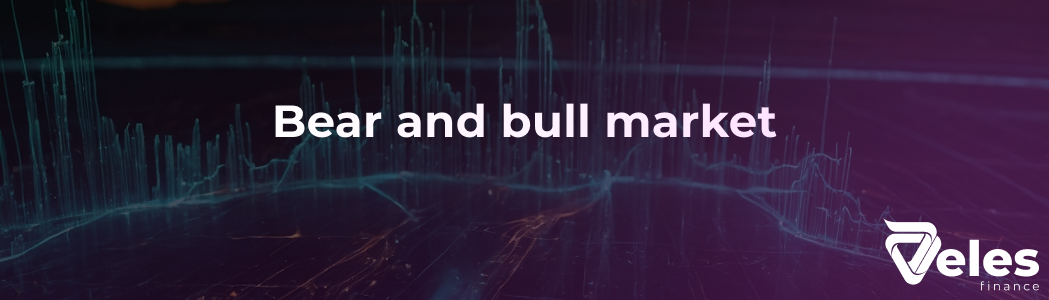 Bear and Bull Market - Understanding the Important