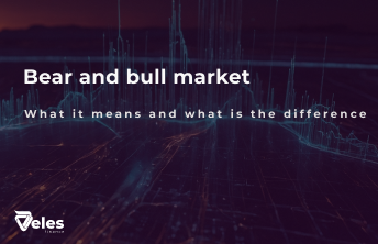 Bear and Bull Market - Understanding the Important