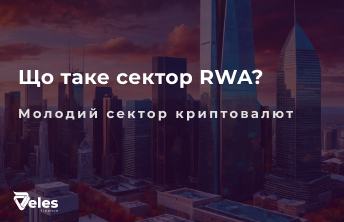 Що таке сектор RWA?