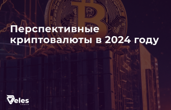 Перспективные криптовалюты в 2024 году