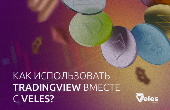 Как использовать TradingView вместе с Veles