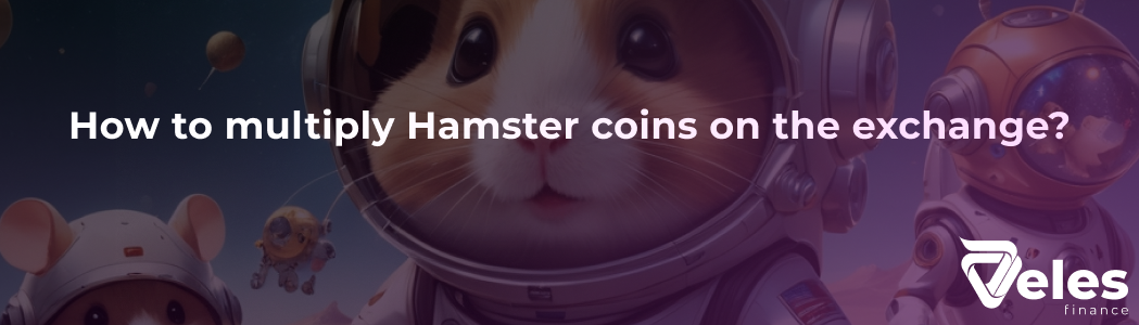 How to multiply Hamster coins on the exchange? A conservative way from Veles