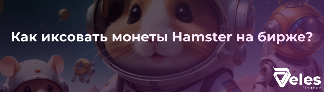 Hamster Combat - стратегия заработка на криптовалютных биржах