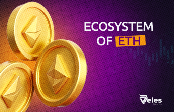 What Is the Ethereum Ecosystem?