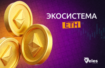 Что такое экосистема Ethereum?