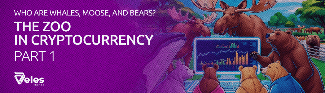 Part 1: Who are whales, moose, and bears? A zoo in cryptocurrency